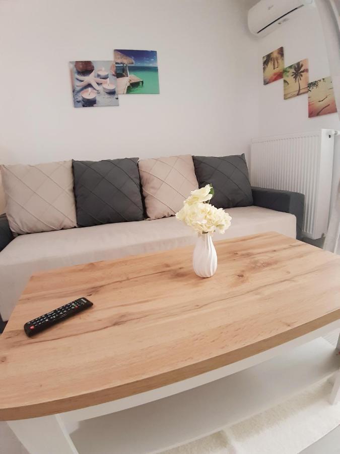 Alex Sofi Studio Năvodari 외부 사진